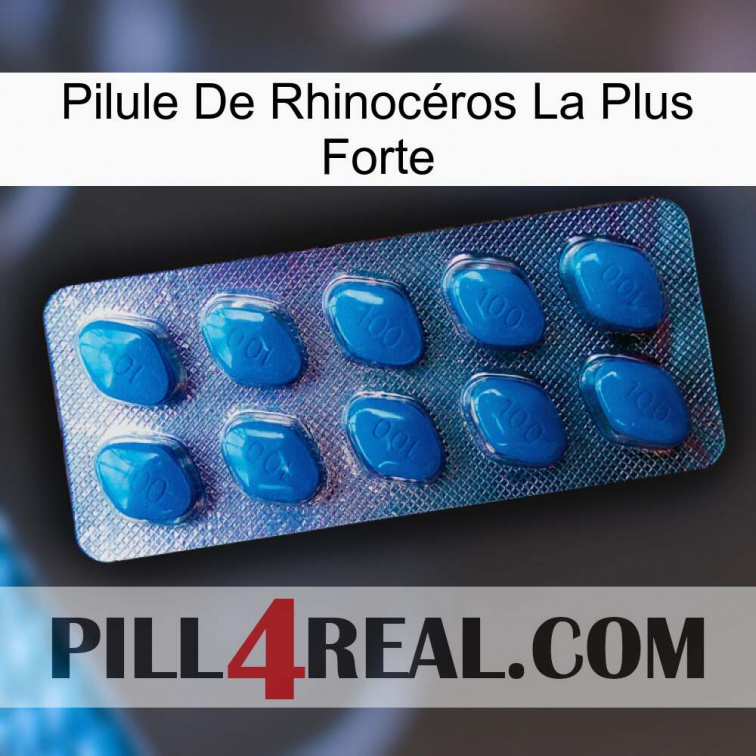 Pilule De Rhinocéros La Plus Forte viagra1